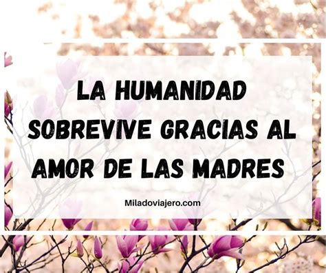 total 72 imagen frases para la madre mas hermosa del mundo abzlocal mx