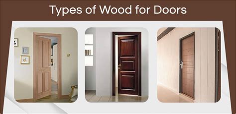 The Best Wood For Doors A Guide To Durability Beauty And Versatility