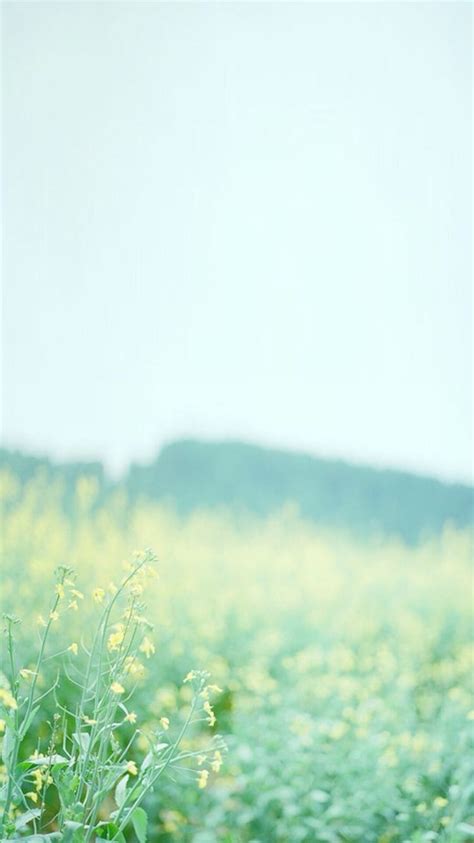 Backgrounds Spring And Simple On Pinterest