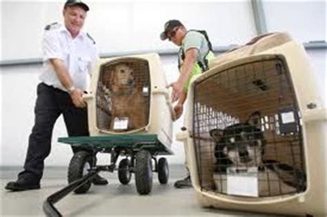 Checked pets cannot be shipped on flights that have a. Animal Radio® - America's most-listened-to pet talk. AM-FM ...