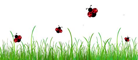 Grass With Ladybugs Png Clipart Picture