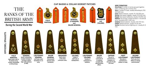 British Army Officer Rank Structure Explained Hanger39colchester
