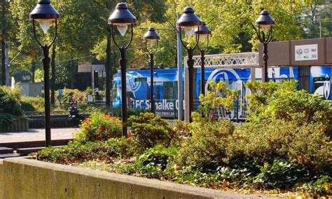 In onze fanshop op voetbalshirtjes.shop kun je terecht voor diverse artikelen van jouw club uit de bundesliga. Schalke 04 Fanshop Gutscheine - Gutscheinspruch.de