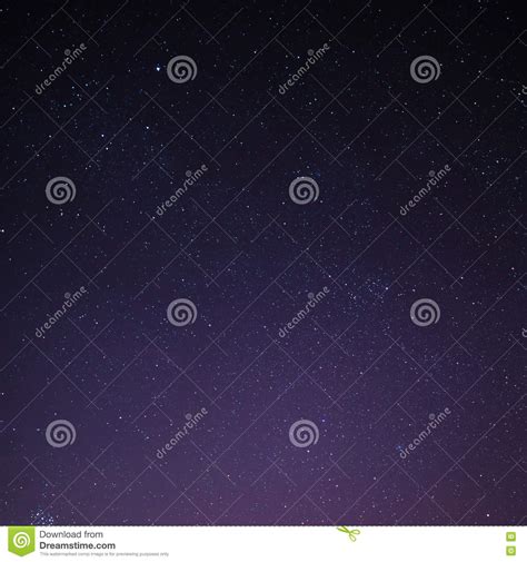 Starry Night Sky With Trees Stock Image Image Of