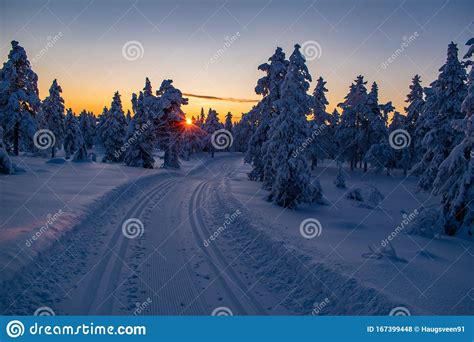 Magical Winter Landscape In Hedmark County Norway Stock Photo Image