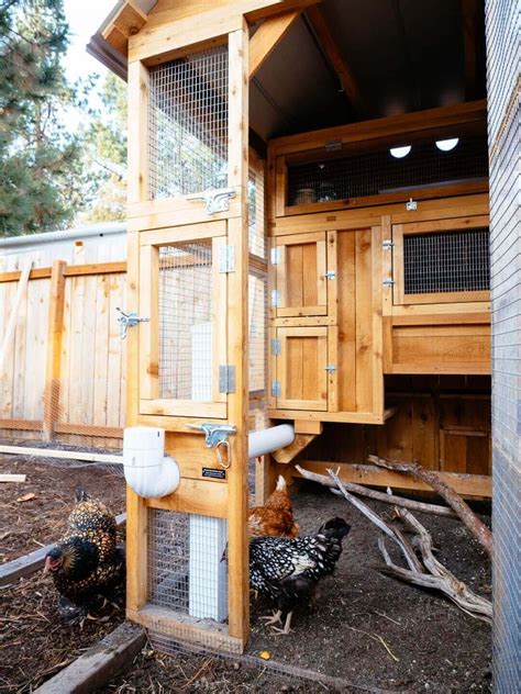 A Tour of My New Chicken Coop | Chicken coop garden, Best chicken coop, Chicken coop
