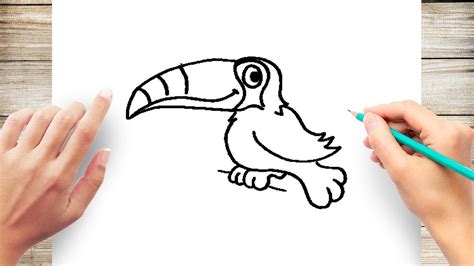 How To Draw A Toucan Step By Step For Kids Youtube