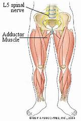 Outer Hip Muscle Exercises Images