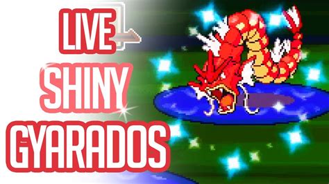 Live Shiny Gyarados After 1770 Fes Wf Pokemon Platinum Shiny