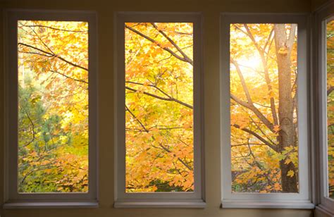 Autumn Scene Through Porch Window Screens Stock Photo Download Image