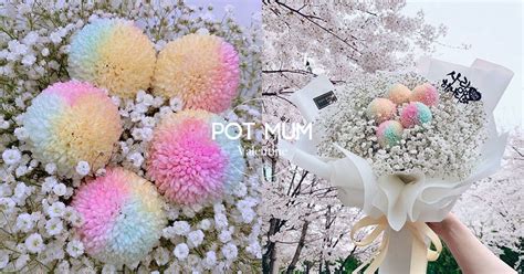 Jul 09, 2018 · 哈囉，你好，我是萊斯。今天要介紹的這個不是遊戲，是一款在steam上面壓倒性好評的桌布程式，這款叫做wallpaper engine，桌布引擎。 之前夏特沒有推薦是因為這款沒有特價，就想說不用特 比收到玫瑰更開心!「彩虹波波菊」成韓妞新寵 送情人、老爸都選它 - boMb01