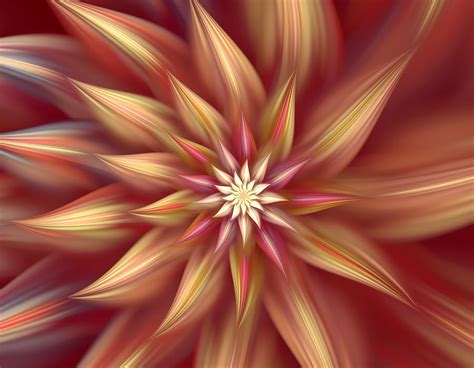 Beautiful Dahlia Abstract Digital Art By Georgiana Romanovna