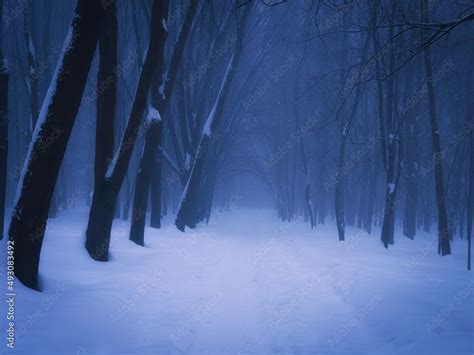 Mysterious Winter Forest With Snow At Dusk A Dark Magical Forest