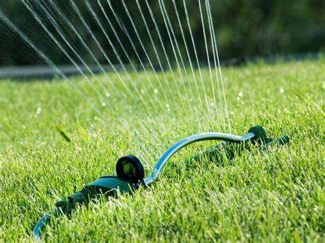 Follow These Simple Steps To Get Lush Green Grass Feed Inspiration