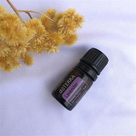 Descobrir Imagen Oleos Essenciais Doterra Lavanda Br Thptnganamst