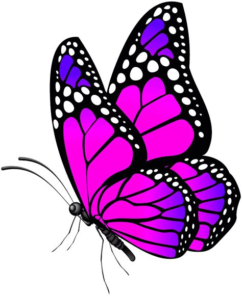 Pink Butterfly Transparent Background PNG | PNG Arts png image