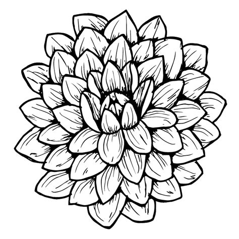 How To Draw A Dahlia Step By Step Tutorial The Happy Ever Crafter