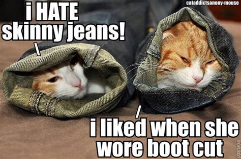 Cats Are In My Jeans Cute Funny Animals Funny Cats And Dogs Funny
