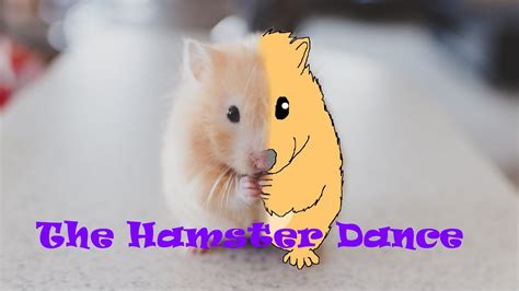The Hamster Dance Meme Original Youtube