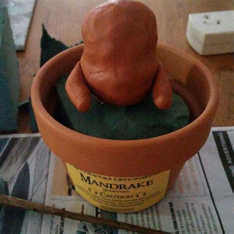Put your baby on their back to go to sleep. Diy Baby Mandrake | Harry Potter Amino