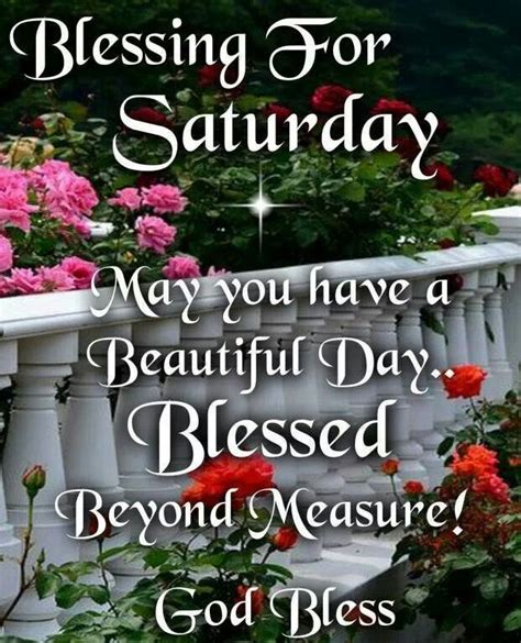 Looking for blessing quotes to start your day positively? Pin on Saturday! We are Blessed!