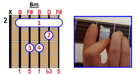 How To Play B Minor Bm Chord On Guitar Ukulele And Piano