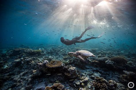 Meet The Freediving Couple Who Make Stunning Underwater Photos With No Scuba Gear By Love