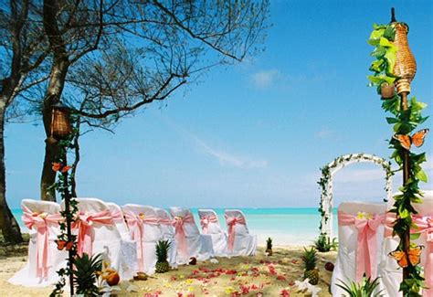 How will you decorate your beach wedding? Wedding: Beach Wedding Ideas