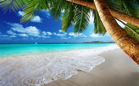 Hd Wallpaper Tropical Paradise On Beach Coast Sea Blue Emerald
