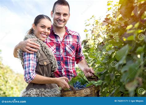 Couple Farmers In Vineyard Stock Image Image Of Fruit 76201171