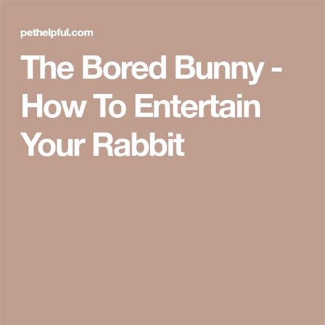 The Bored Bunny How To Entertain Your Rabbit Bunny Bunny Care