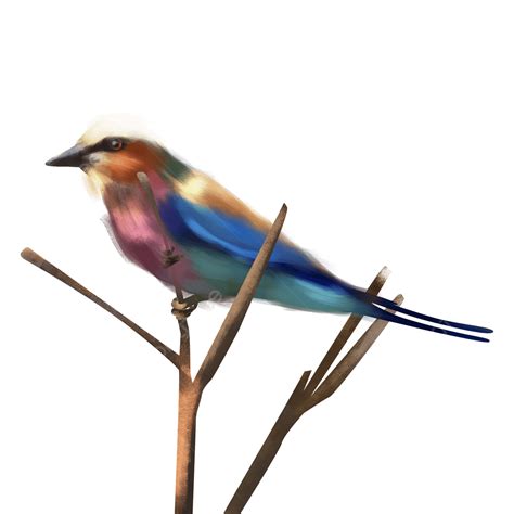 Bird On Branch Clipart Hd Png Bird Watercolor Bird Standing On A Tree