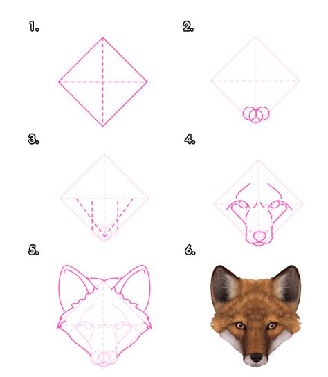How To Draw A Fox Step By Step Guide How To Draw
