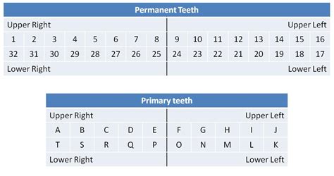 Palmer notation (sometimes referred to as 'zsigmondy notation') is the primary system used for the numbering of teeth in the united kingdom. A Tooth By Any Other Name - A Quick Overview of Dental ...