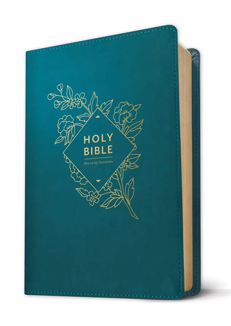 Holy Bible Giant Print Nlt By New Living Translation Free Delivery