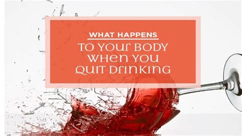 What Happens To Your Body When You Quit Drinking How To Quit Alcohol