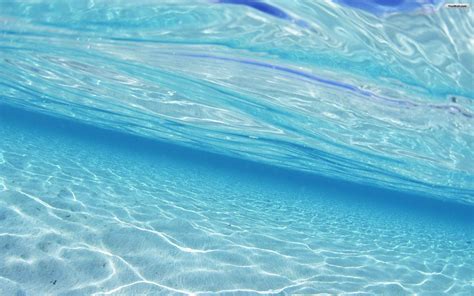 320 free videos of lively. Best Live Wallpaper For PC | PixelsTalk.Net