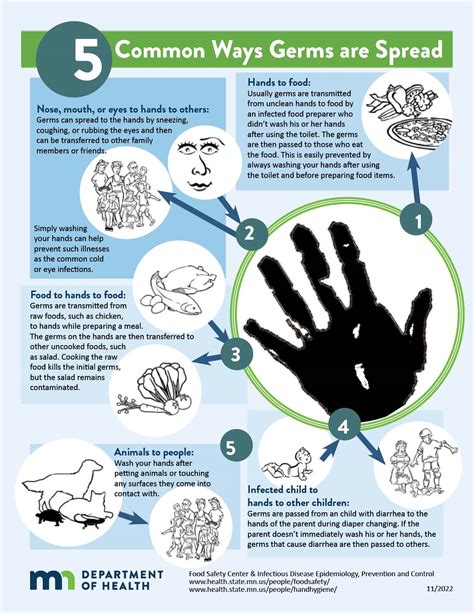 5 Common Ways Germs Are Spread Mn Dept Of Health