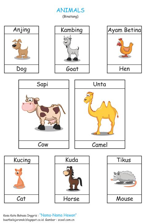 Kosa Kata Nama Nama Hewan Dalam Bahasa Inggris Buat Belajar Anak