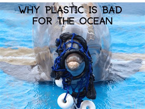 Protect The Ocean ⋆ The Shore Blog