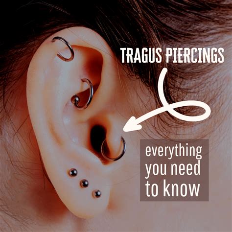 Tragus Ear Piercing Everything You Need To Know Tatring
