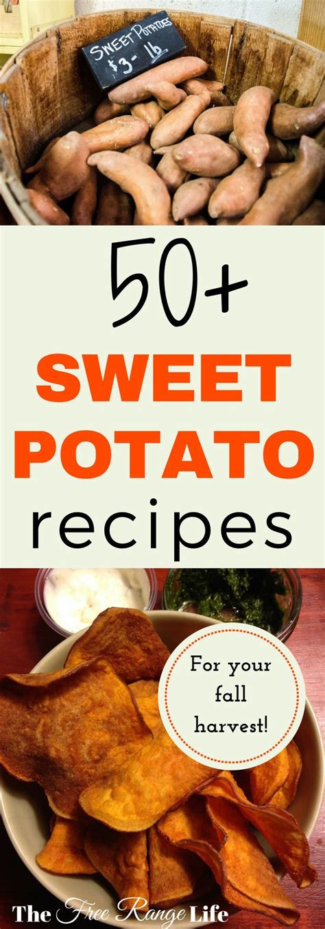 Sweet Potatoes Are Sweet And Filling As Well As Full Of Nutrition Containing High Levels Of