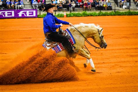Lowcountry Outdoors 2018 World Equestrian Games In Tryon Nc