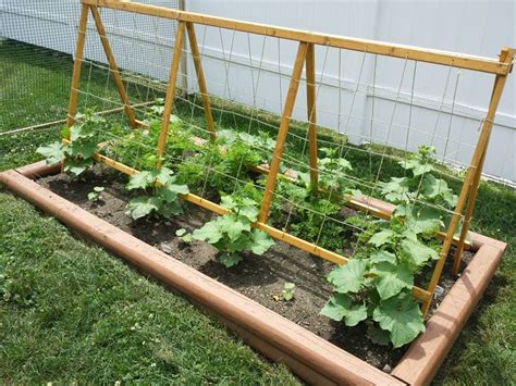This diy cucumber trellis is perfect for anyone who already has a raised garden in their yard. Cucumber Trellis | Gardening | Pinterest