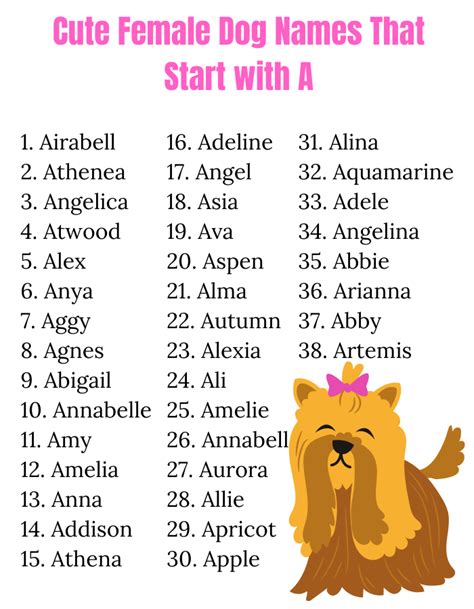 36 Best Ideas For Coloring Girl Names For Dogs