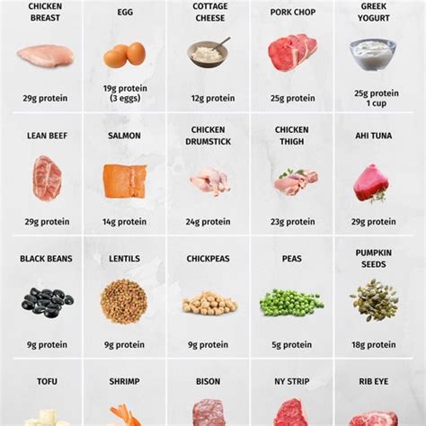 high protein foods reference chart printable instant etsy