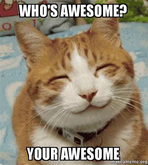 Whos Awesome Cat Meme Antik Kuriosa