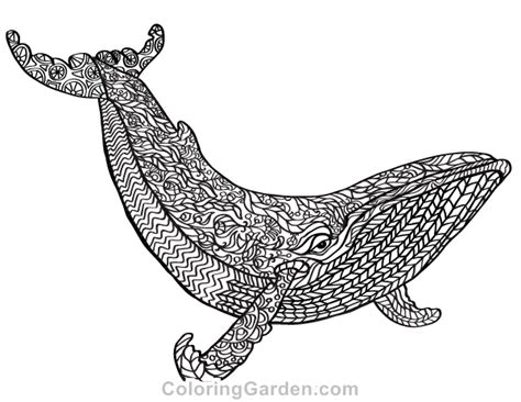 Free whale zen tangles adult coloring page. Whale Adult Coloring Page