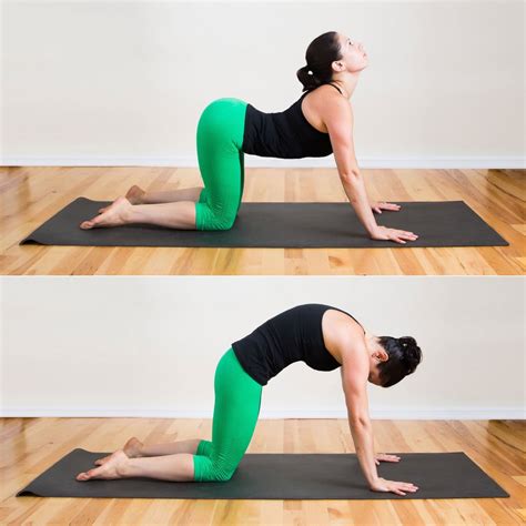 Cat Cow Pose Five Minute Yoga Sequence Popsugar Fitness Photo