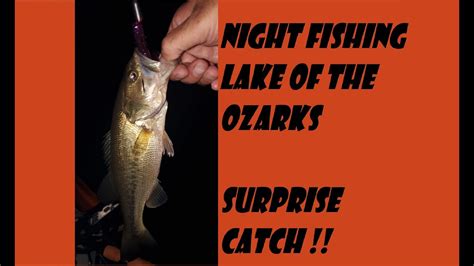 Receive daily updates on lake of the ozarks real estate by email! Lake of the Ozarks Summer Night Kayak Fishing with a ...